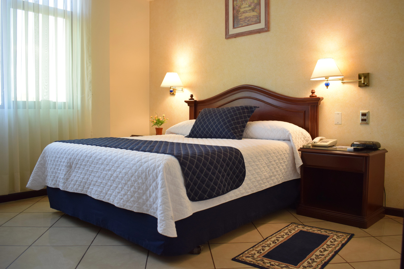 Hotel Continental Park