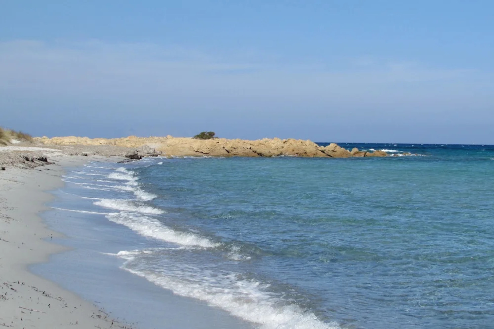 Cavalli di S'Arcaite