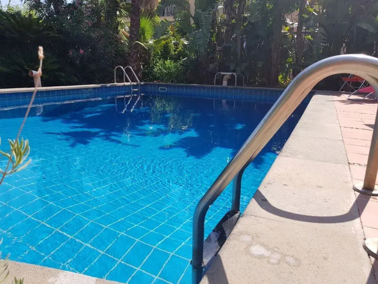 Il Glicine Acitrezza