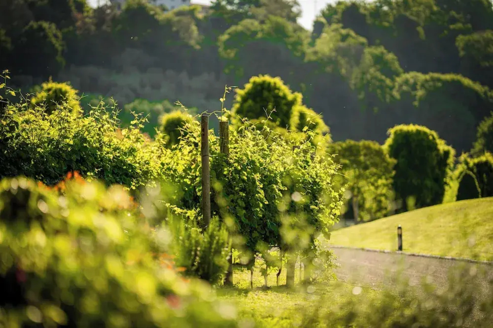 Villa Luisa Francesca