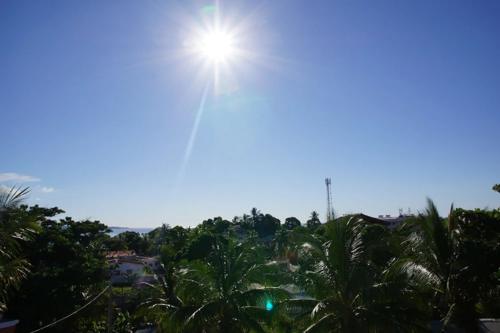 L Orion Bleu Bellatrix