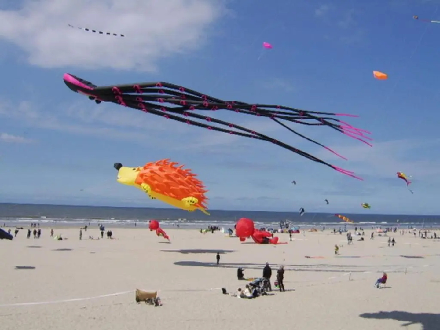 Appart 2-4 pers Berck-Plage Hyper-centre