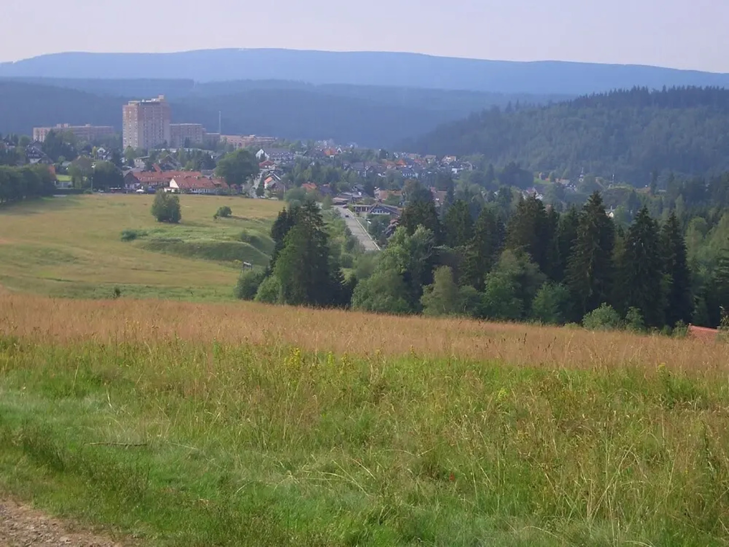 Ferienwohnung Harzlich