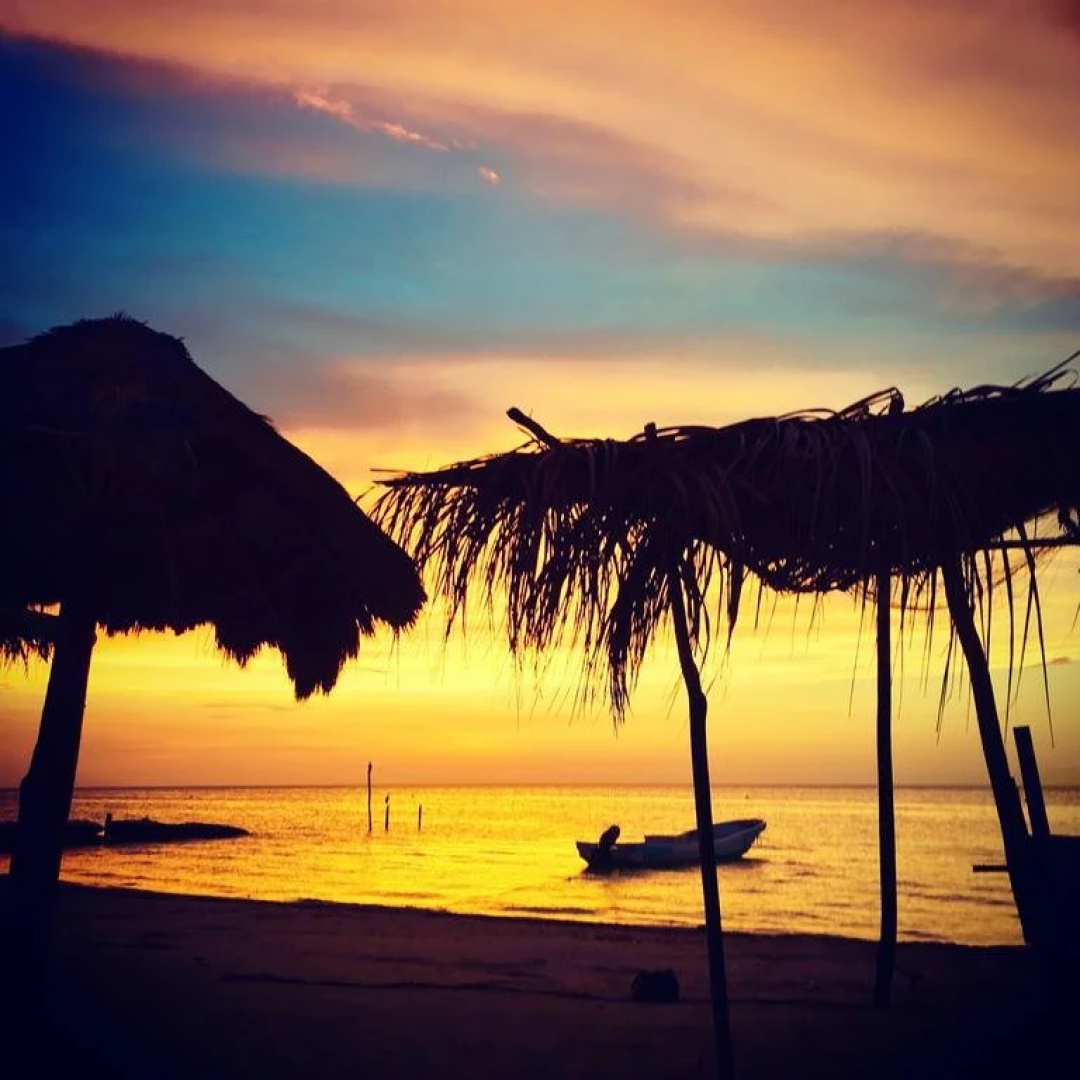 Tribu Hostel