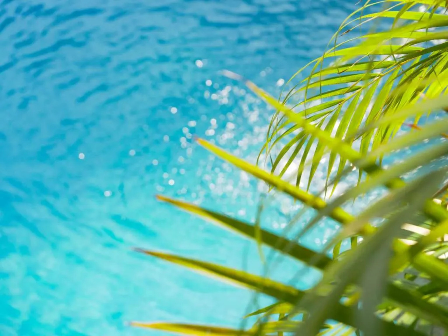 Grand Hotel Mercedes