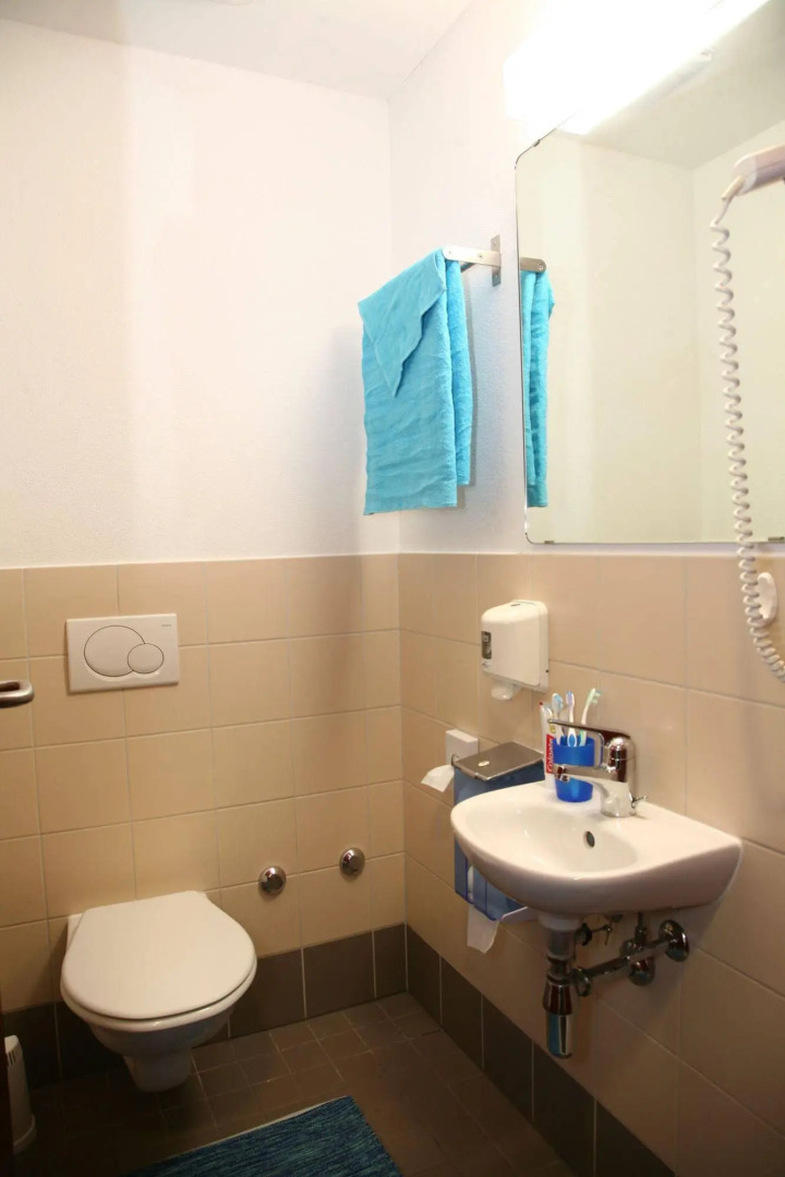 Youth Hostel Lugano Savosa