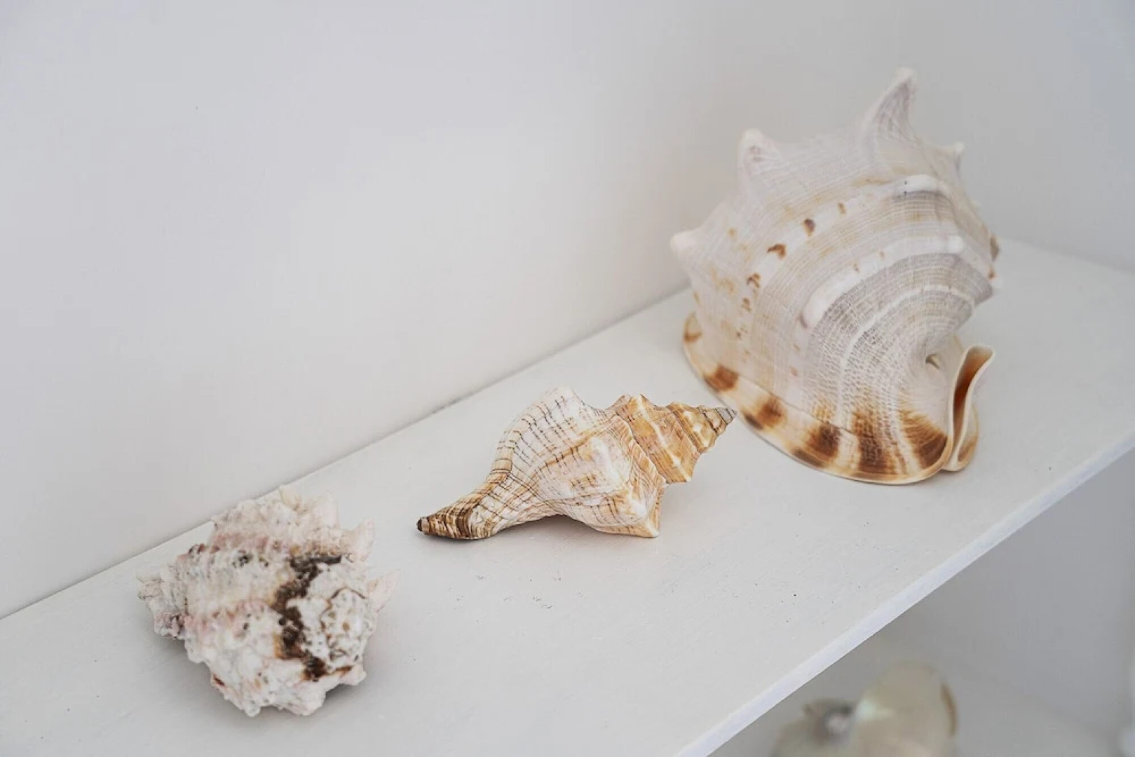 Appartamento La Musa