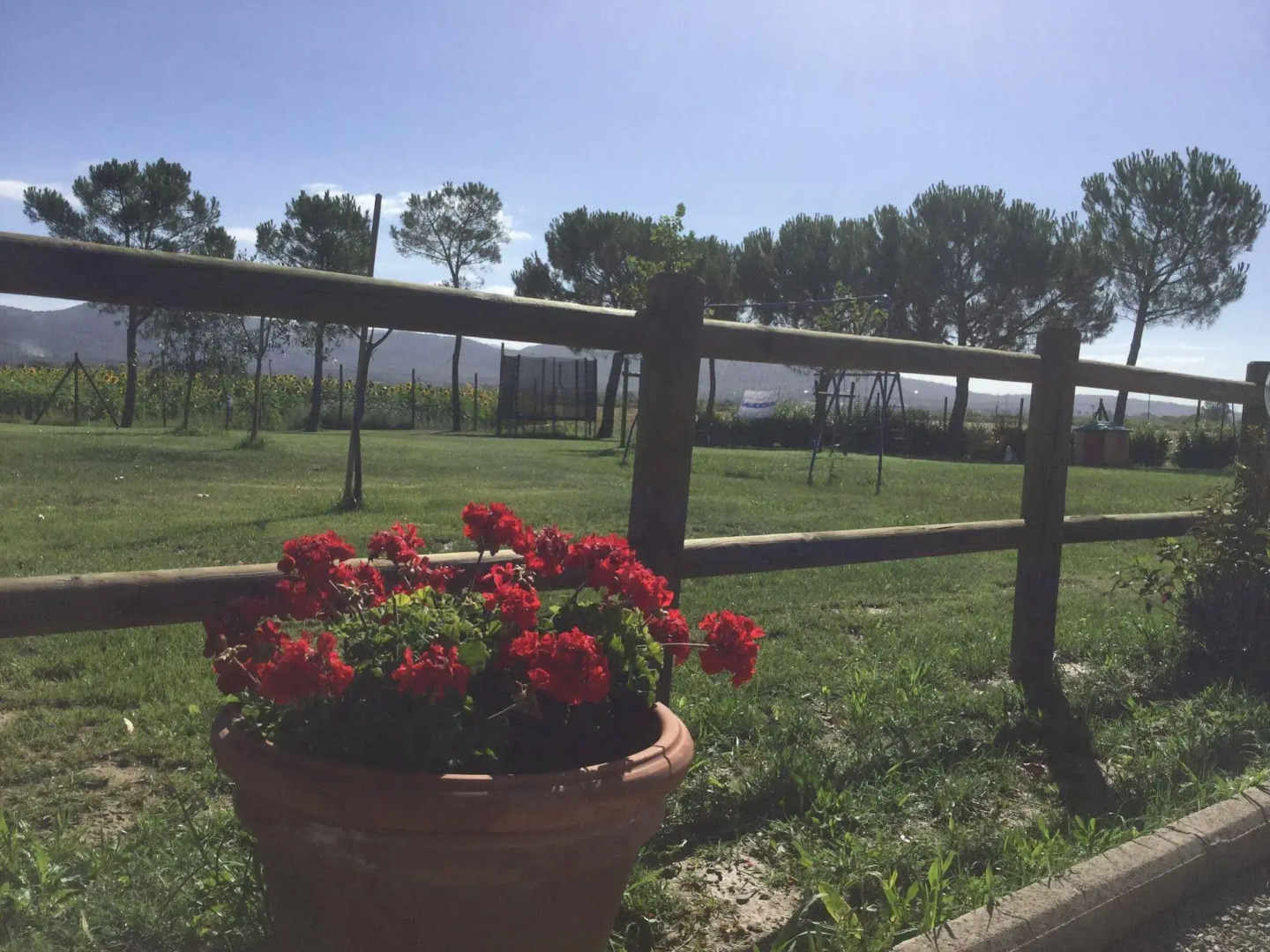 Agriturismo Terra di Cortona