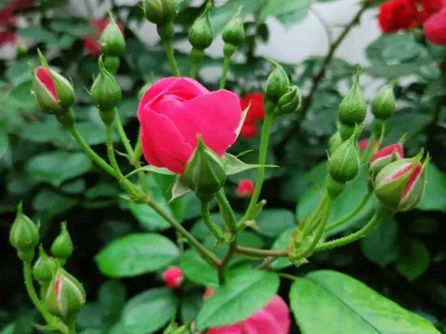 Tian Shun Court Hotel