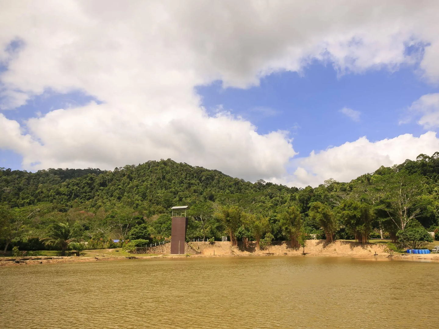Kota Rainforest Resort