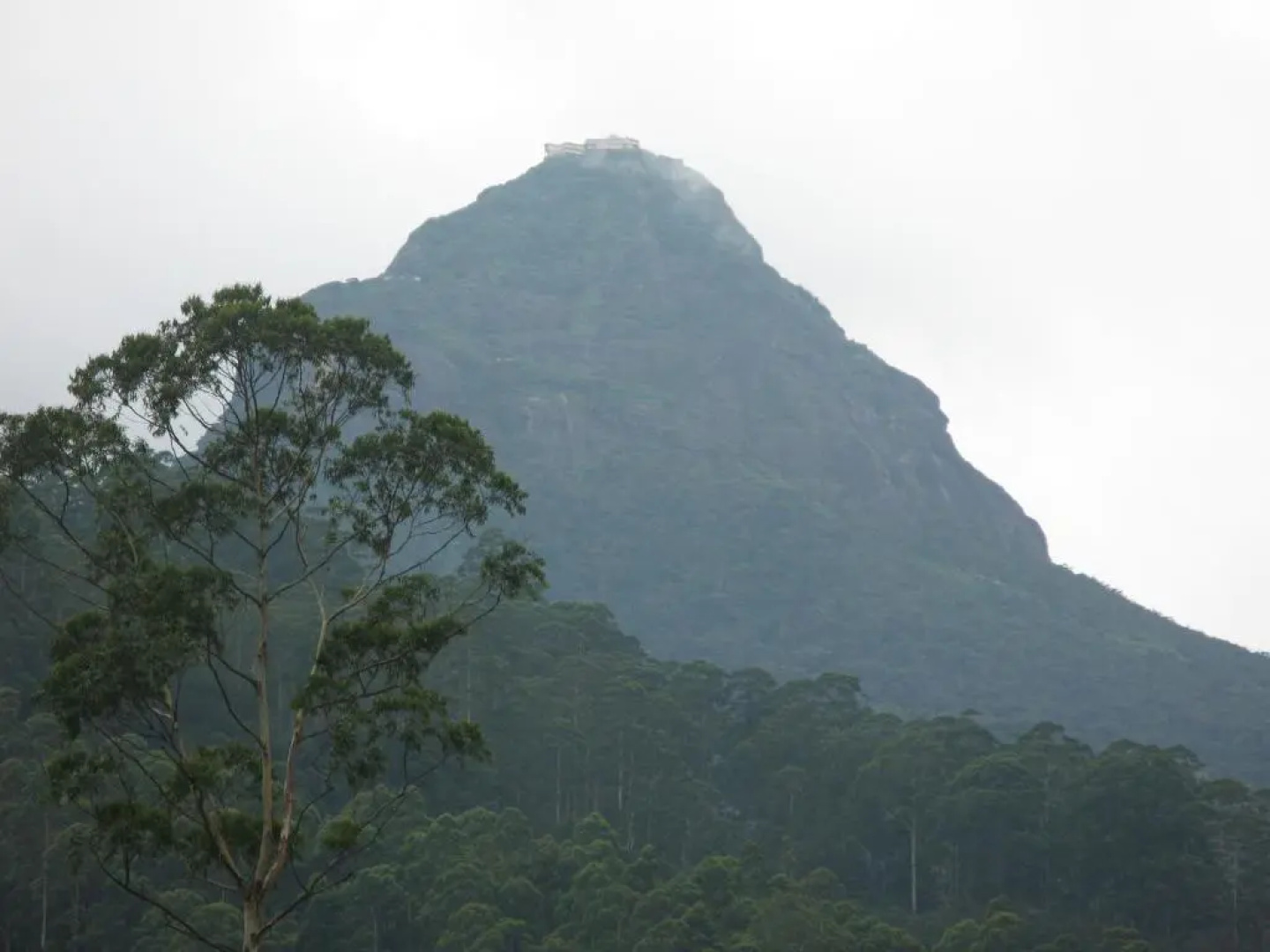 White House Adam's Peak