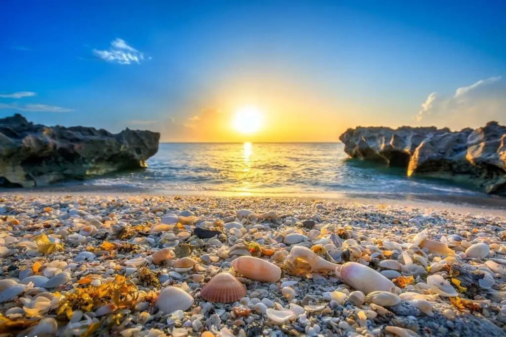 Guest Suite Paradiso by DIGSIFY Self Check in Private Entrance King Bed Free Parking Near PGA Beaches Roger Dean Stadium Fitteam Ballpark