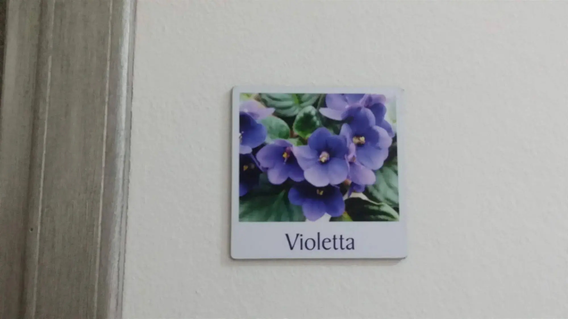 Villa Hibiscus