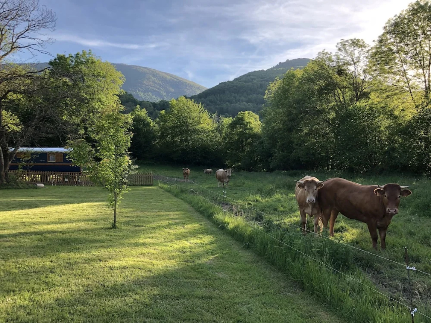 Roulotte La Grand Ourse