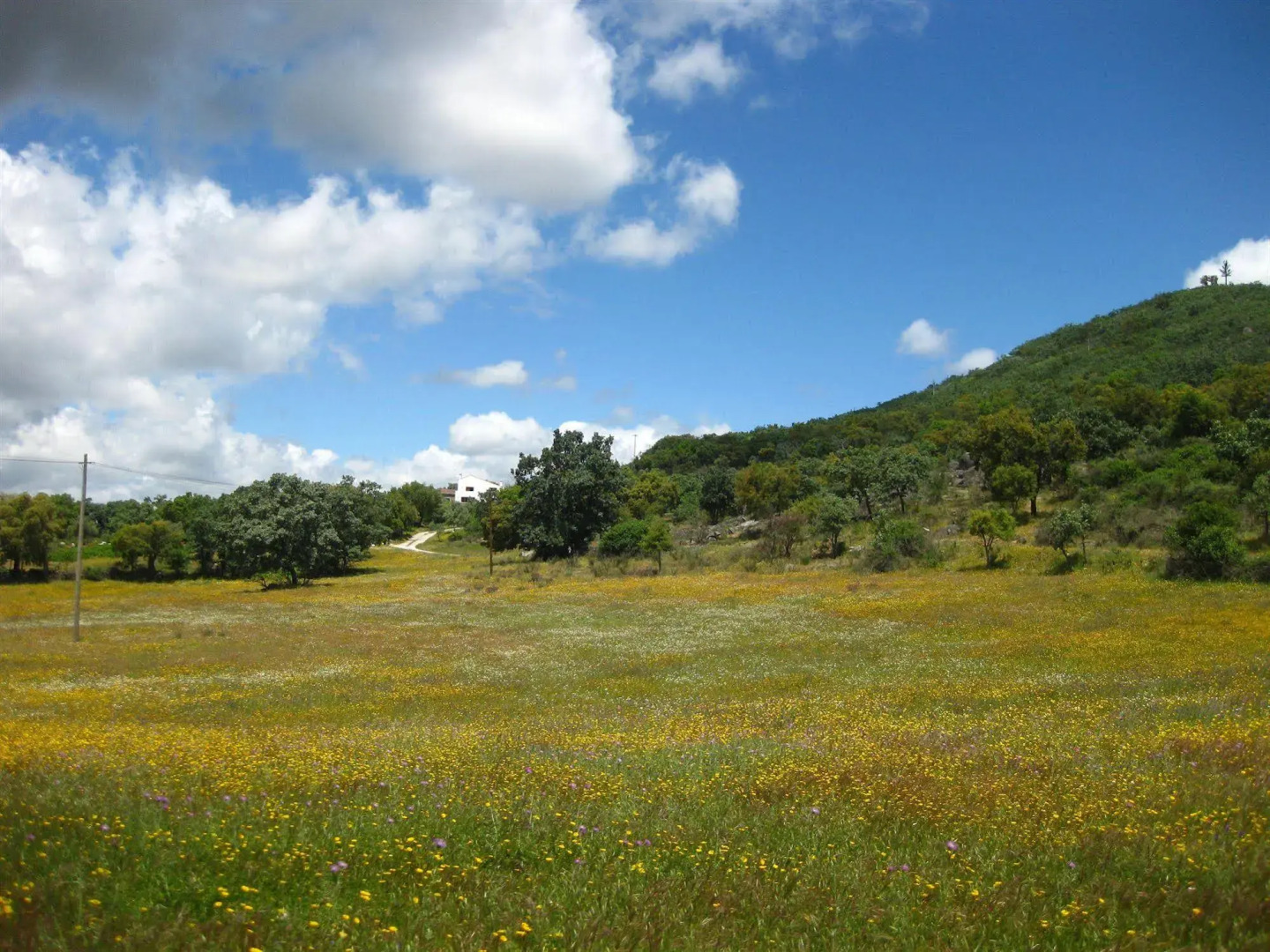 Convento da Provenca