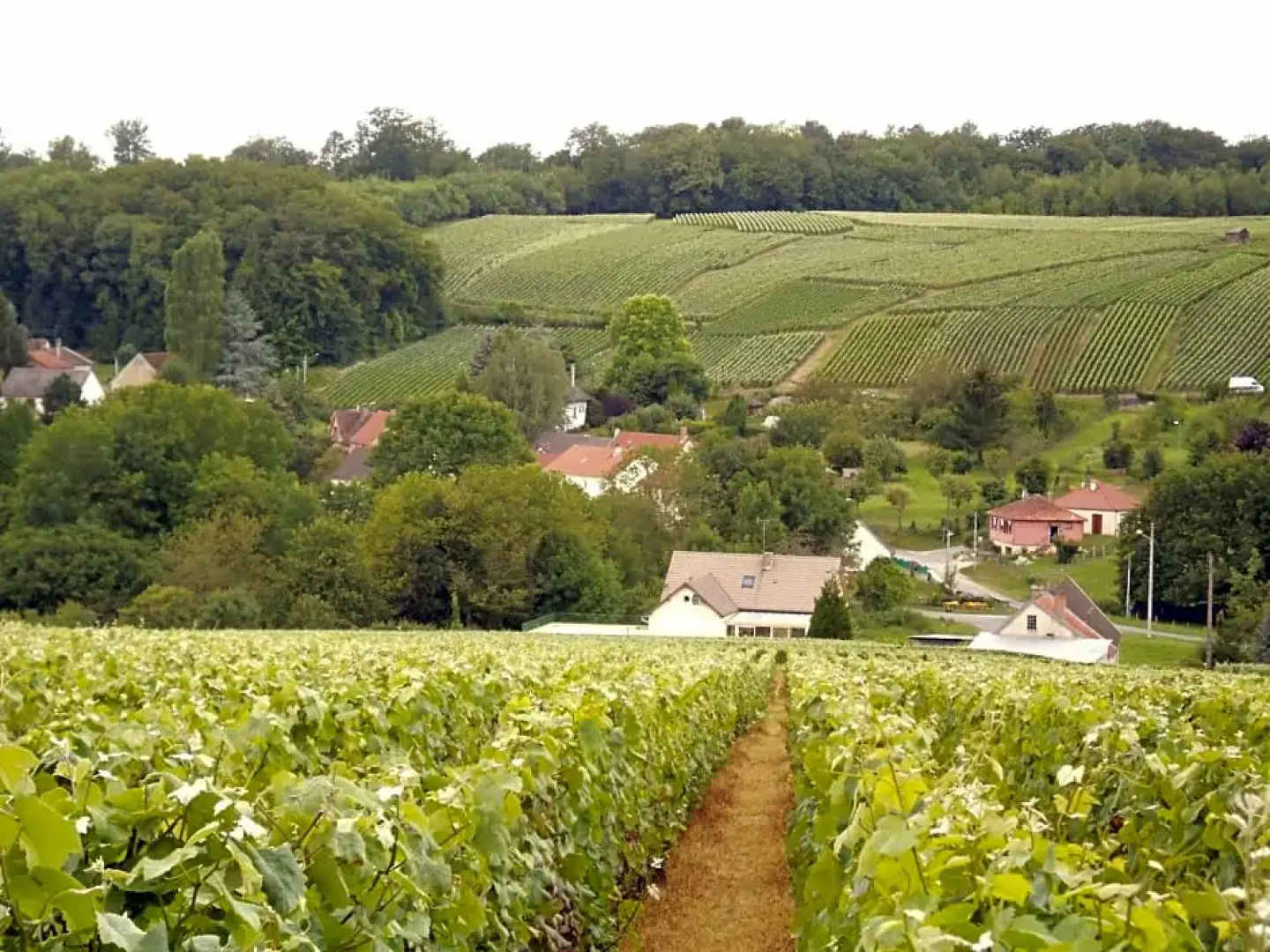 AMBIANCES chambres d 'hôtes