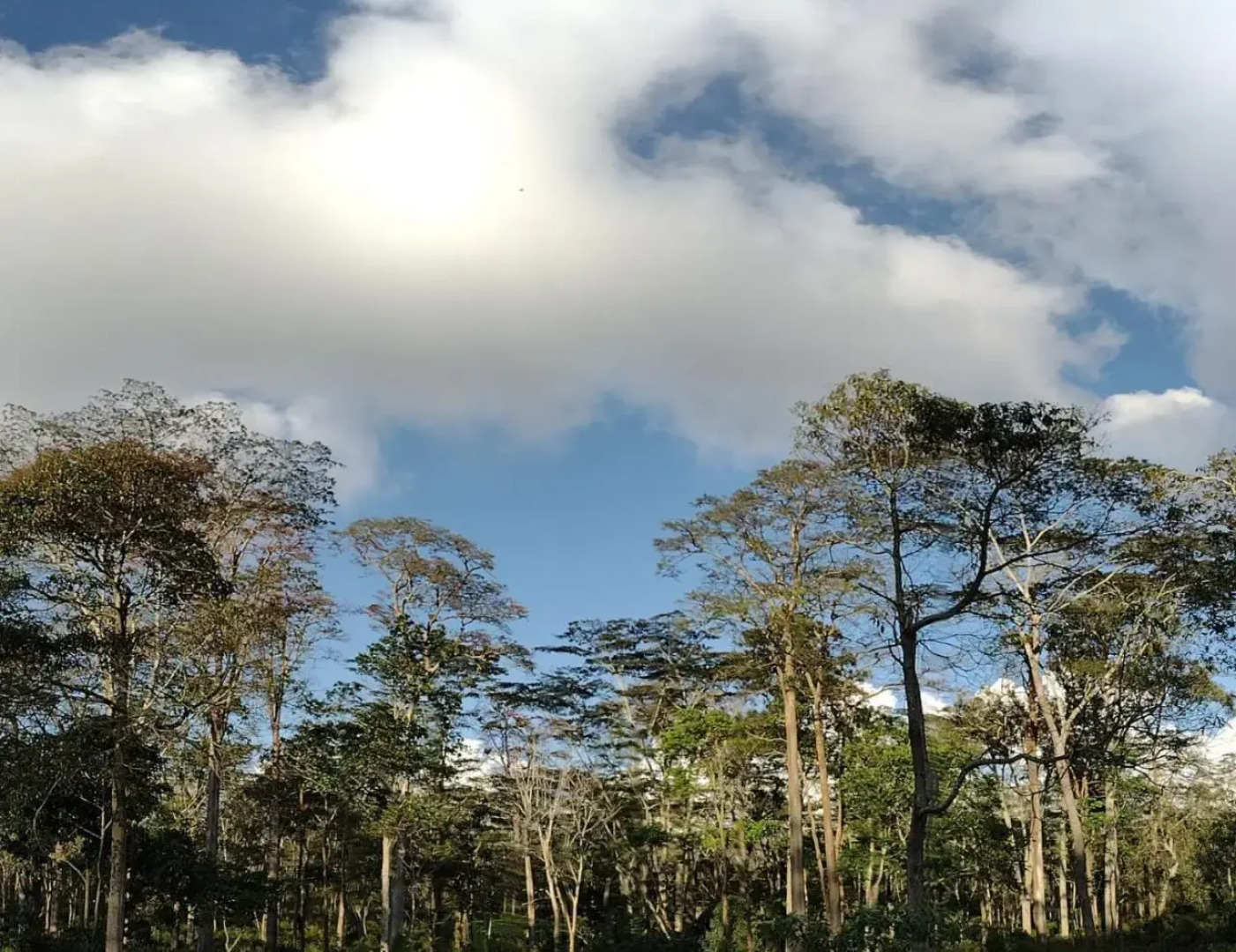 Hotel Hacienda El Roble