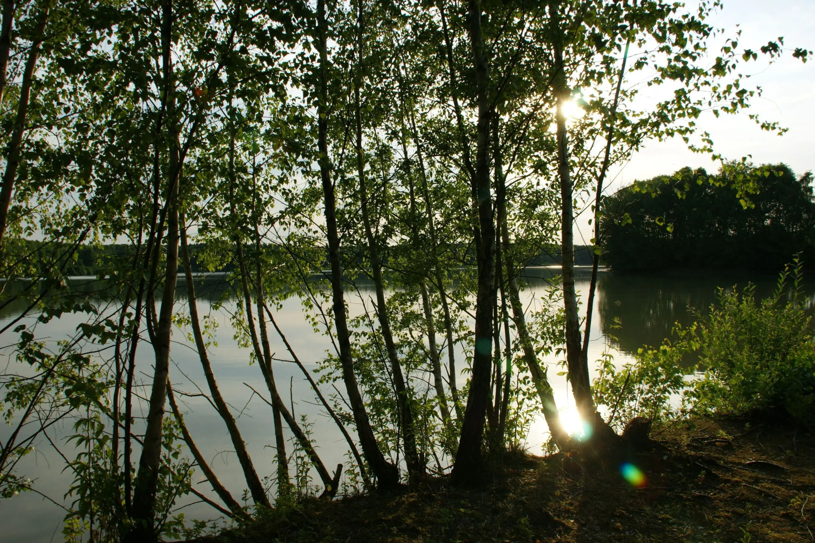 Waldhotel zum Bergsee Damme