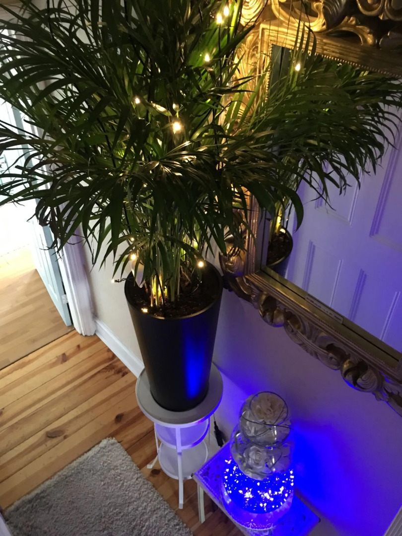 Sunny Mount Bed And Breakfast