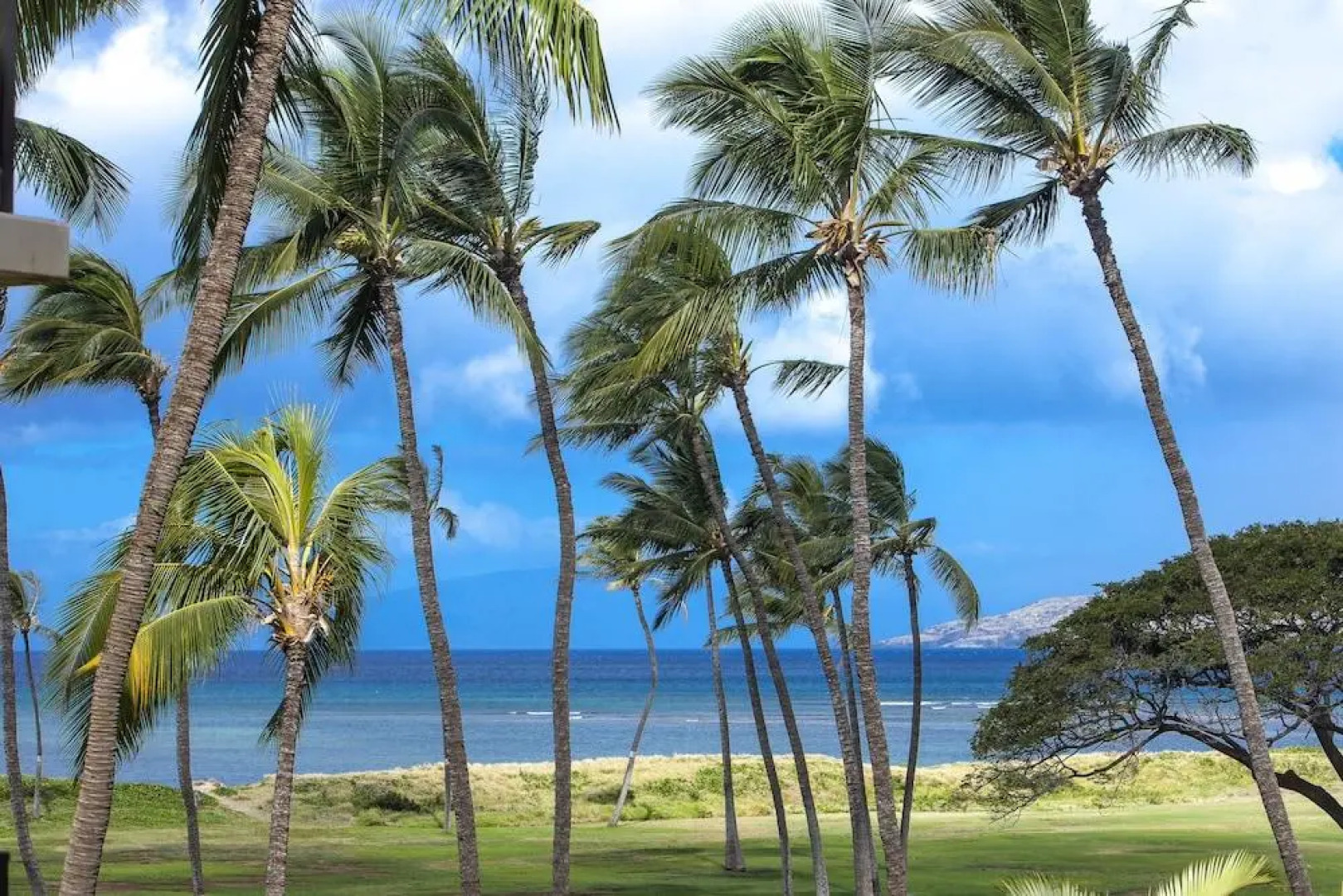 Kauhale Makai Condo on the Beach