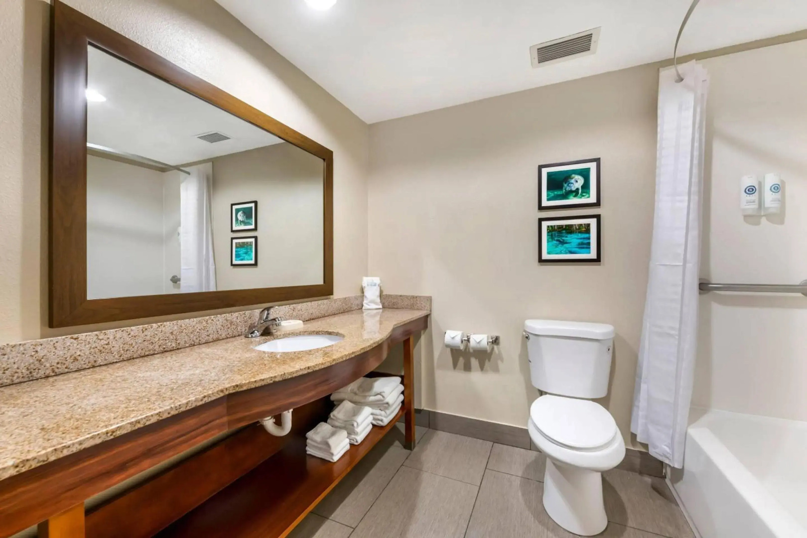 Comfort Inn & Suites Wildwood - The Villages