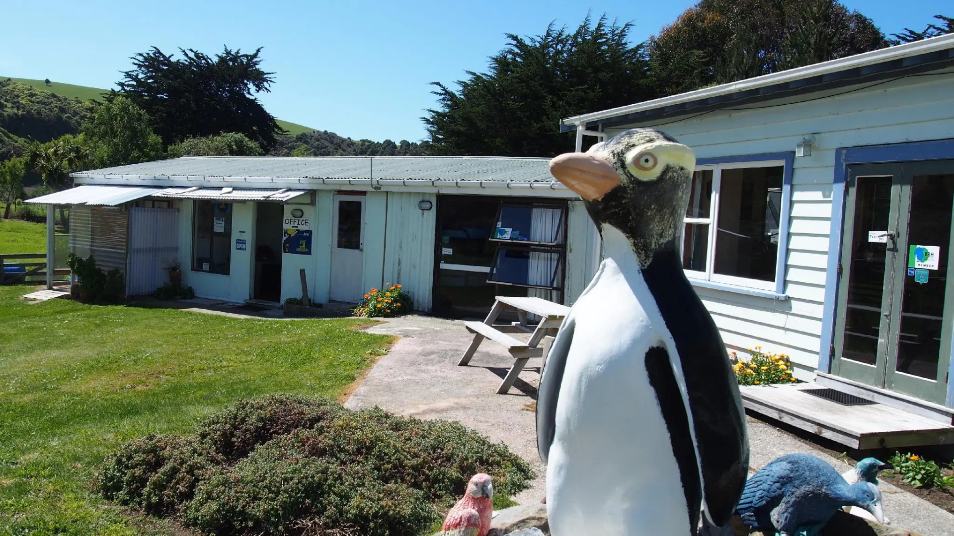Surat Bay Lodge, Motel and Backpackers