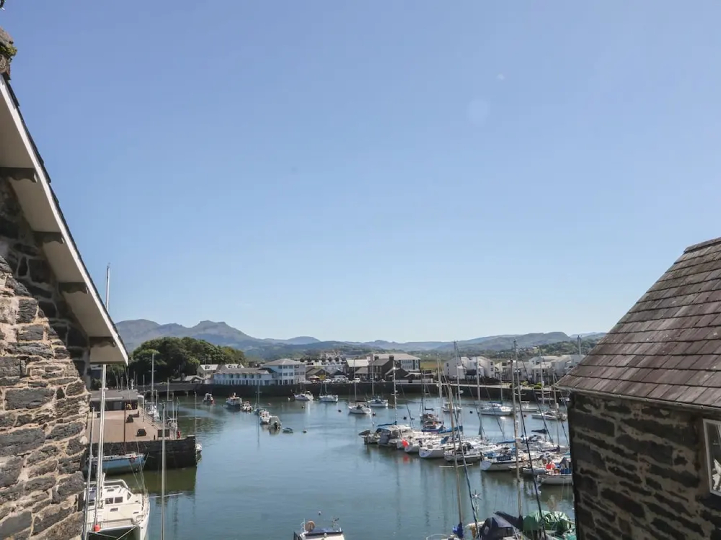 Cnicht View