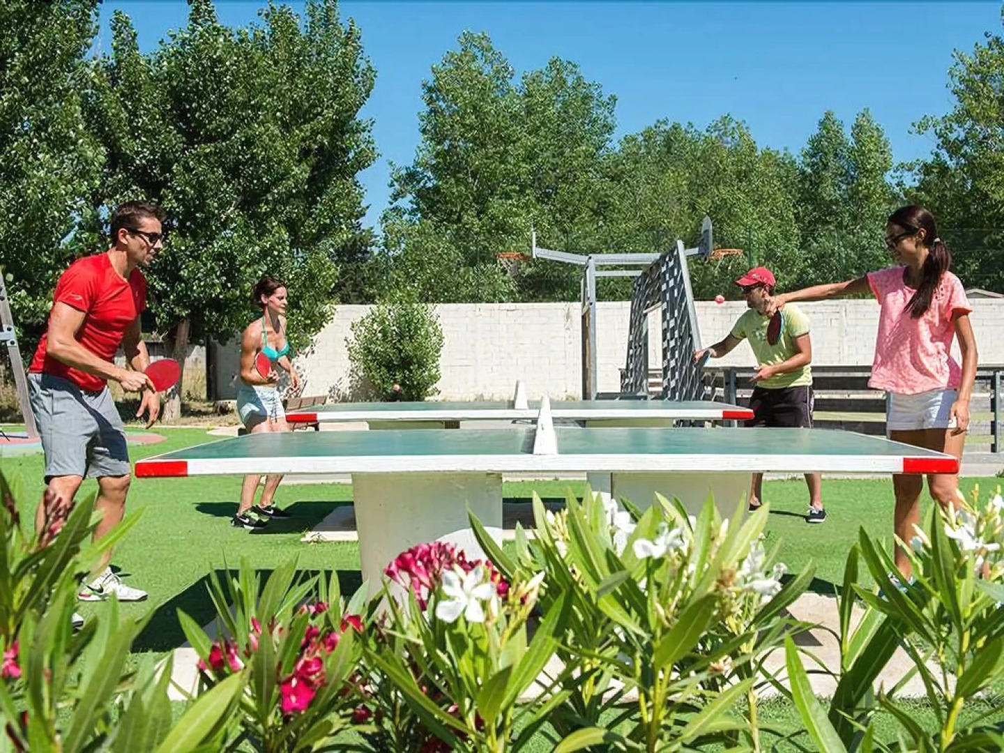 Mobile Home 8p dans le camping La Carabasse (emplacement Oliviers 26)