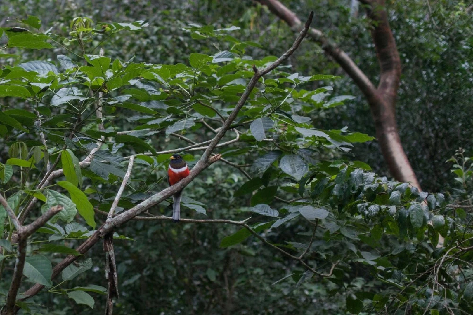 Equilibrium Healing Resort