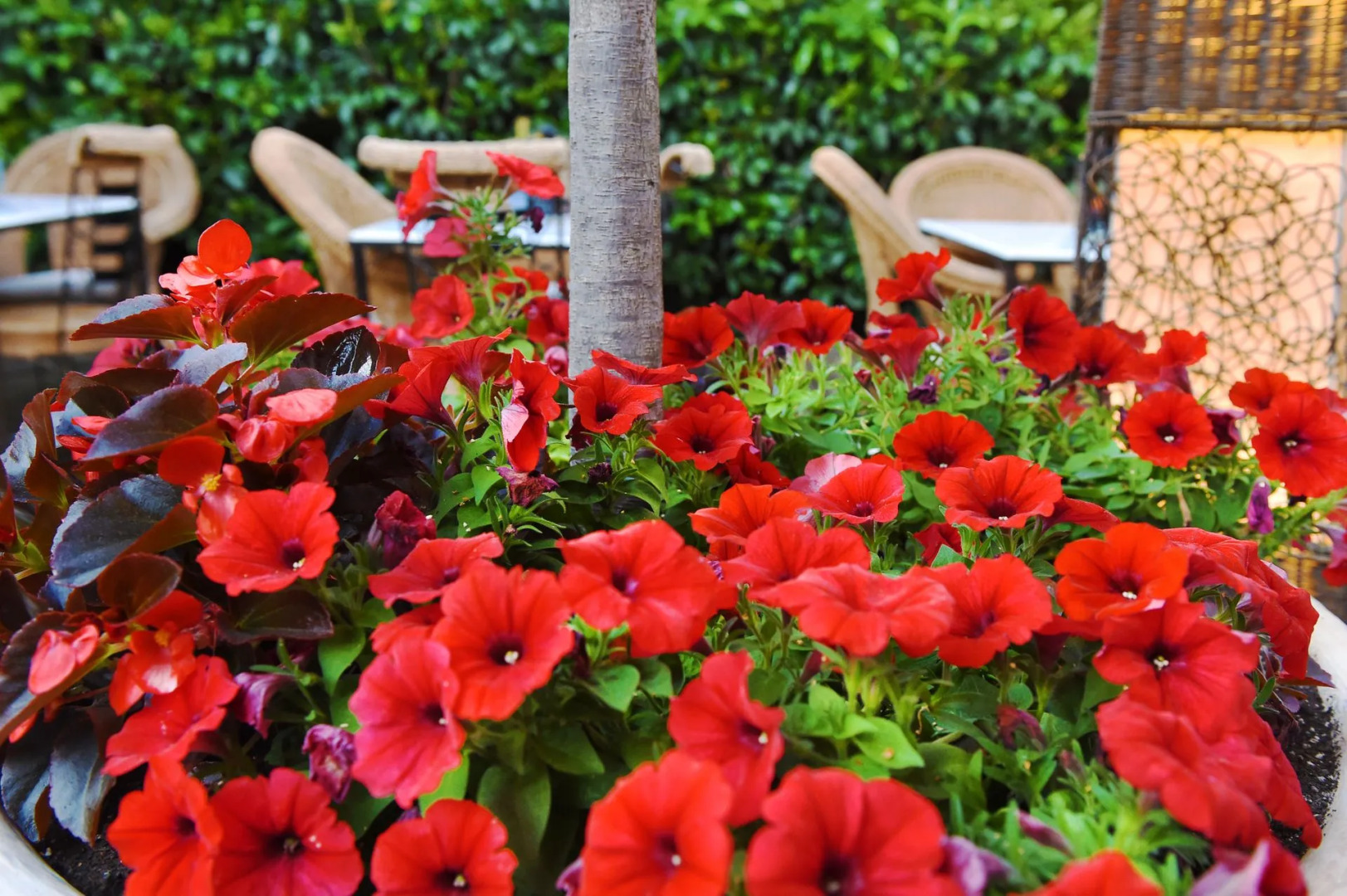 Armata Boutique Hotel