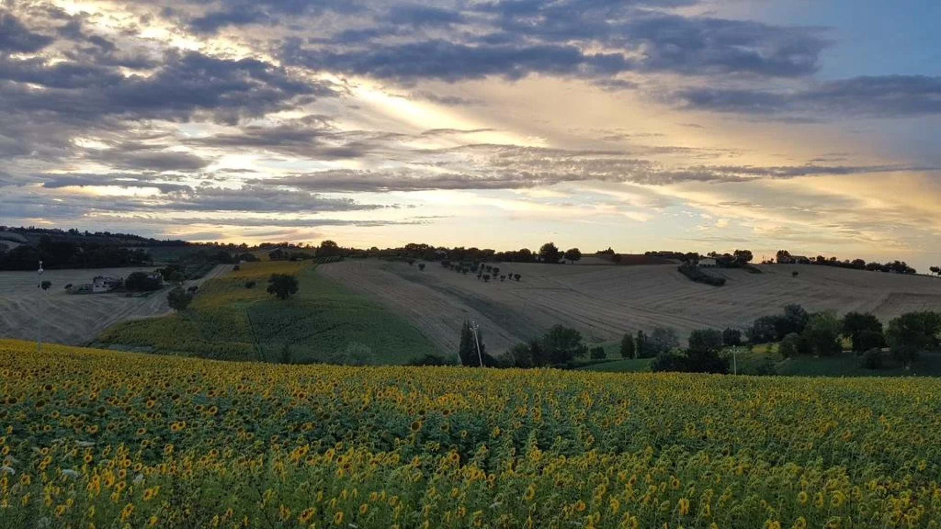 Solea Albergo Di Campagna