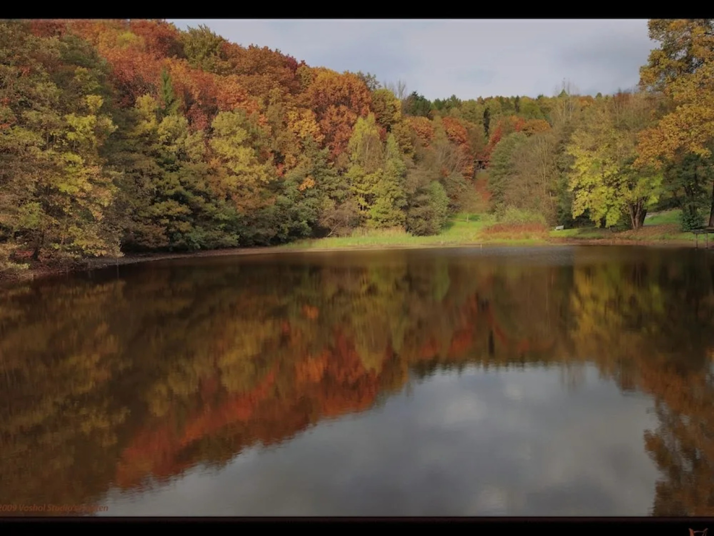 Tidy Holiday Home With Wood Burner in a Green Area