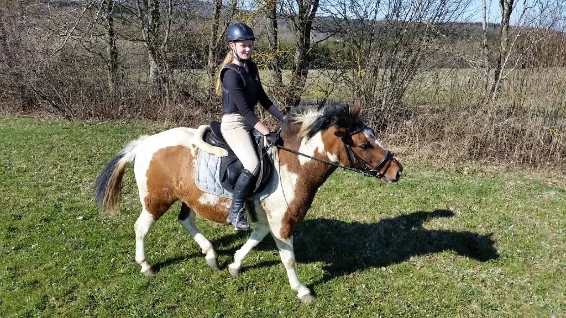 Ferienwohnungen Hof Plenkitten