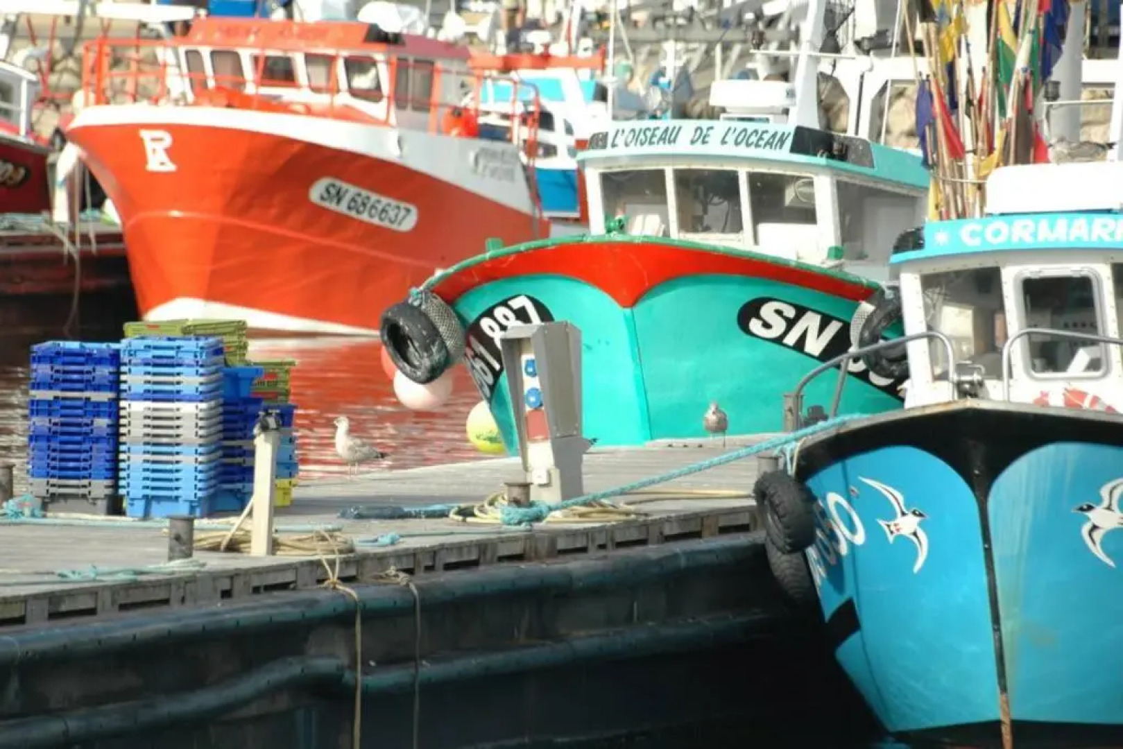 Studio meublé à 2 minutes à pied de la plage.