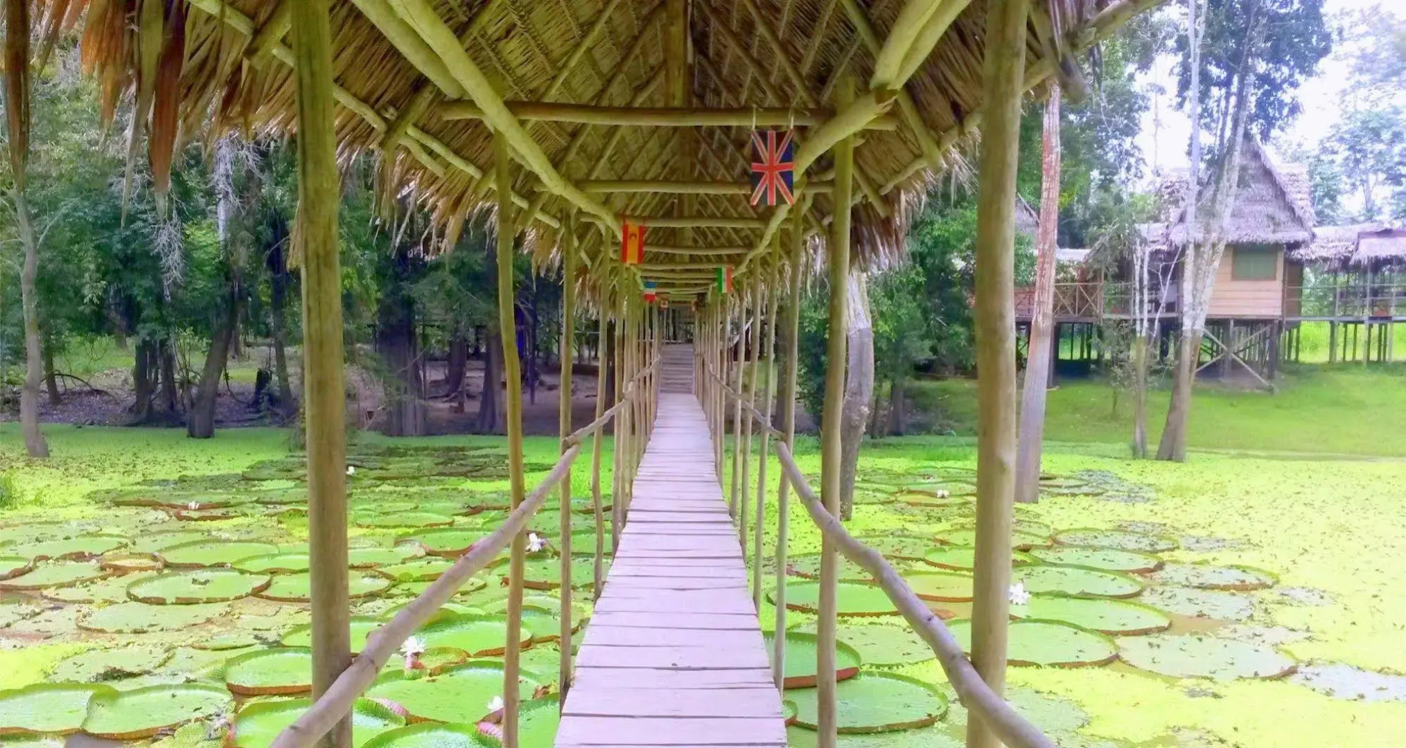 Avatar Amazon Lodge & Canopy Park