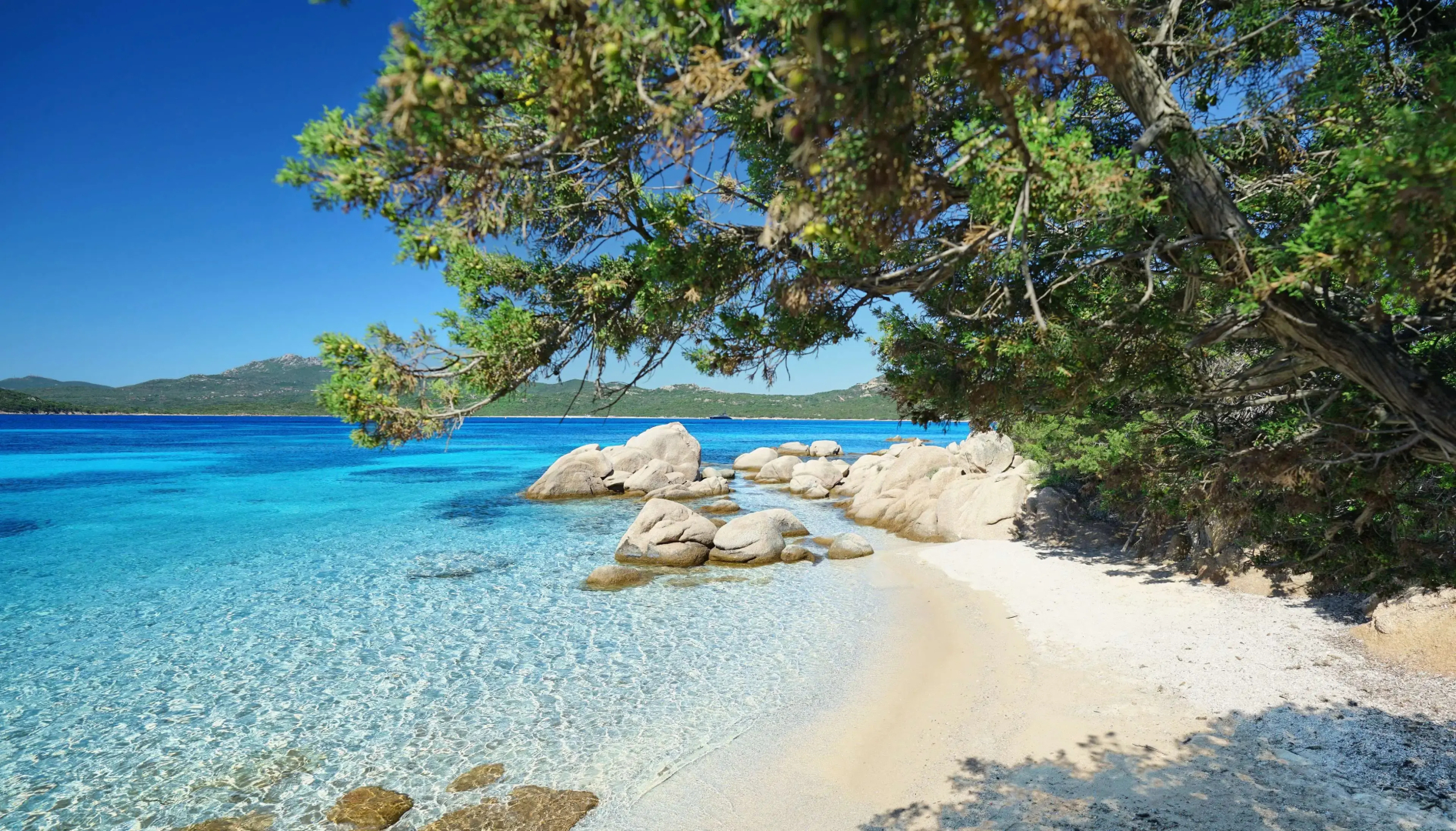 7Pines Resort Sardinia-A Destination By Hyatt