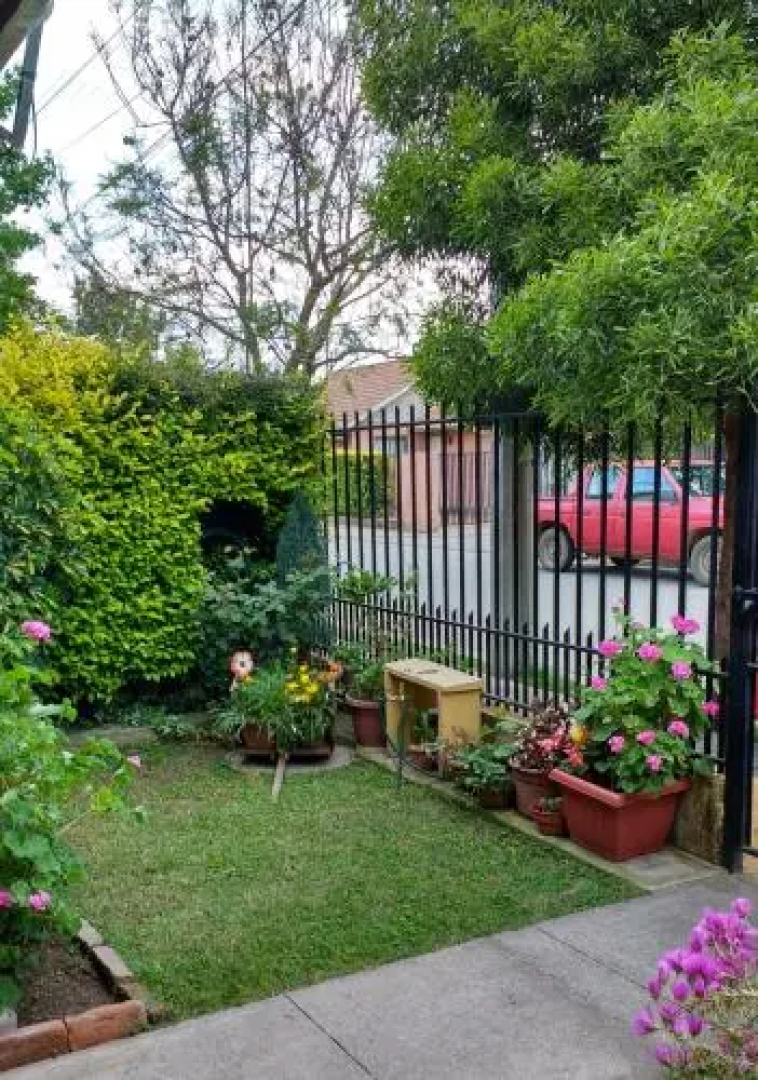 Casa Roble Añejo Bed & Breakfast