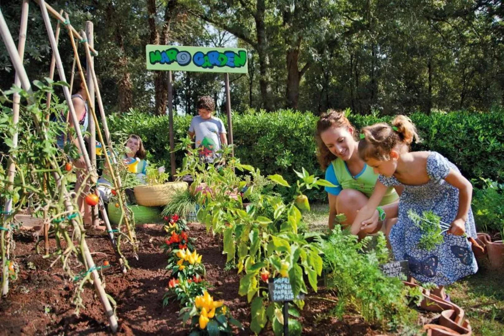 Valamar Parentino Hotel