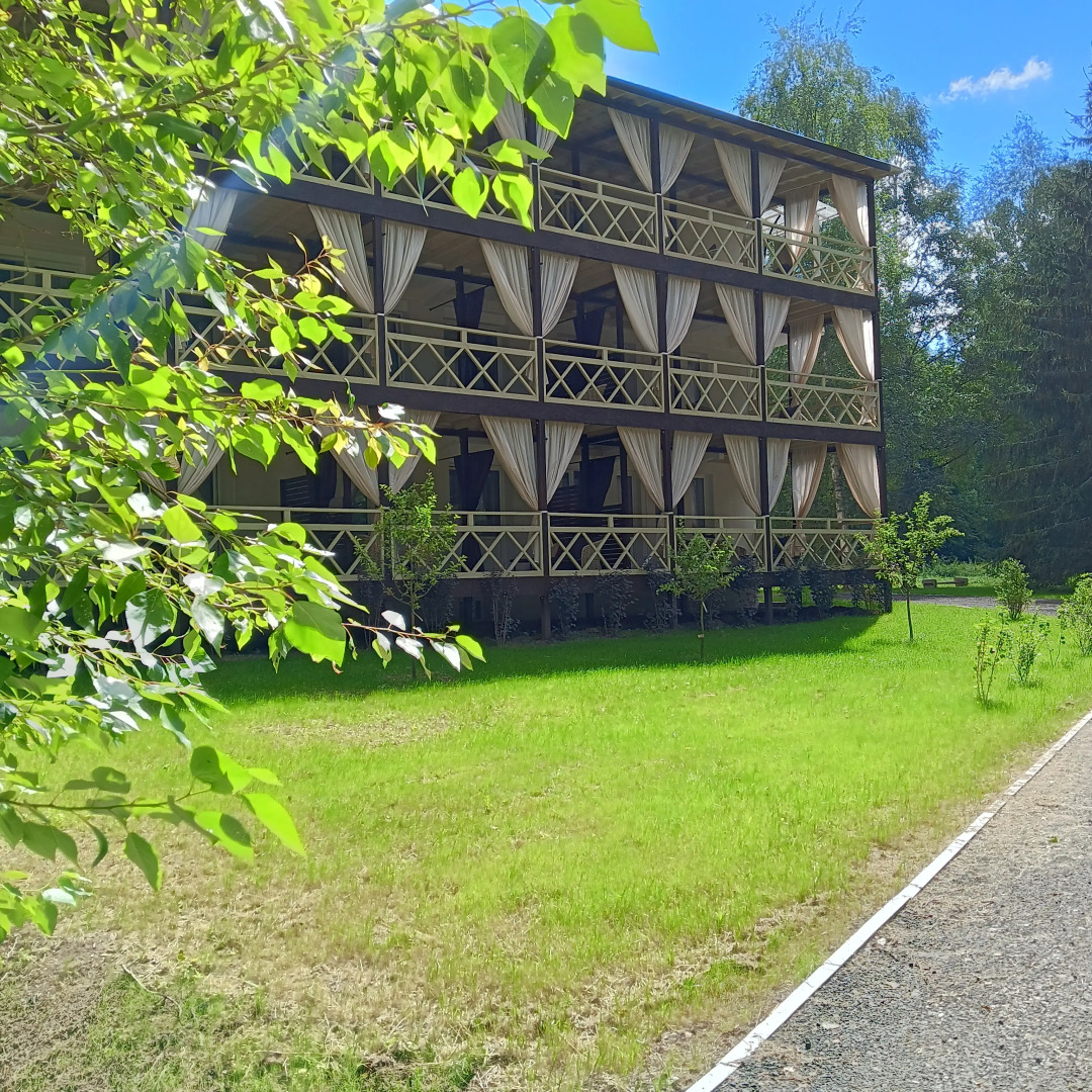 Хвоя Бестужево