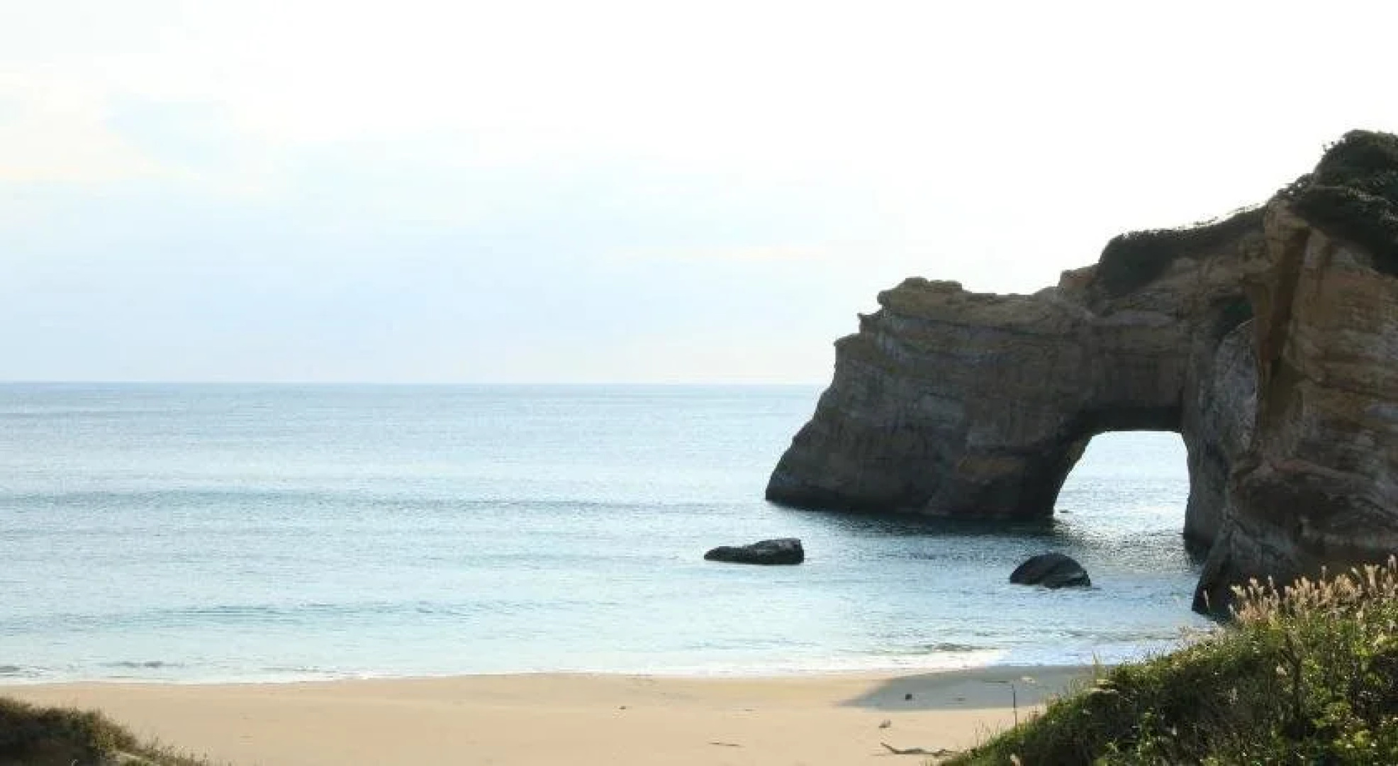 Tanegashima Minshuku Hapisuma