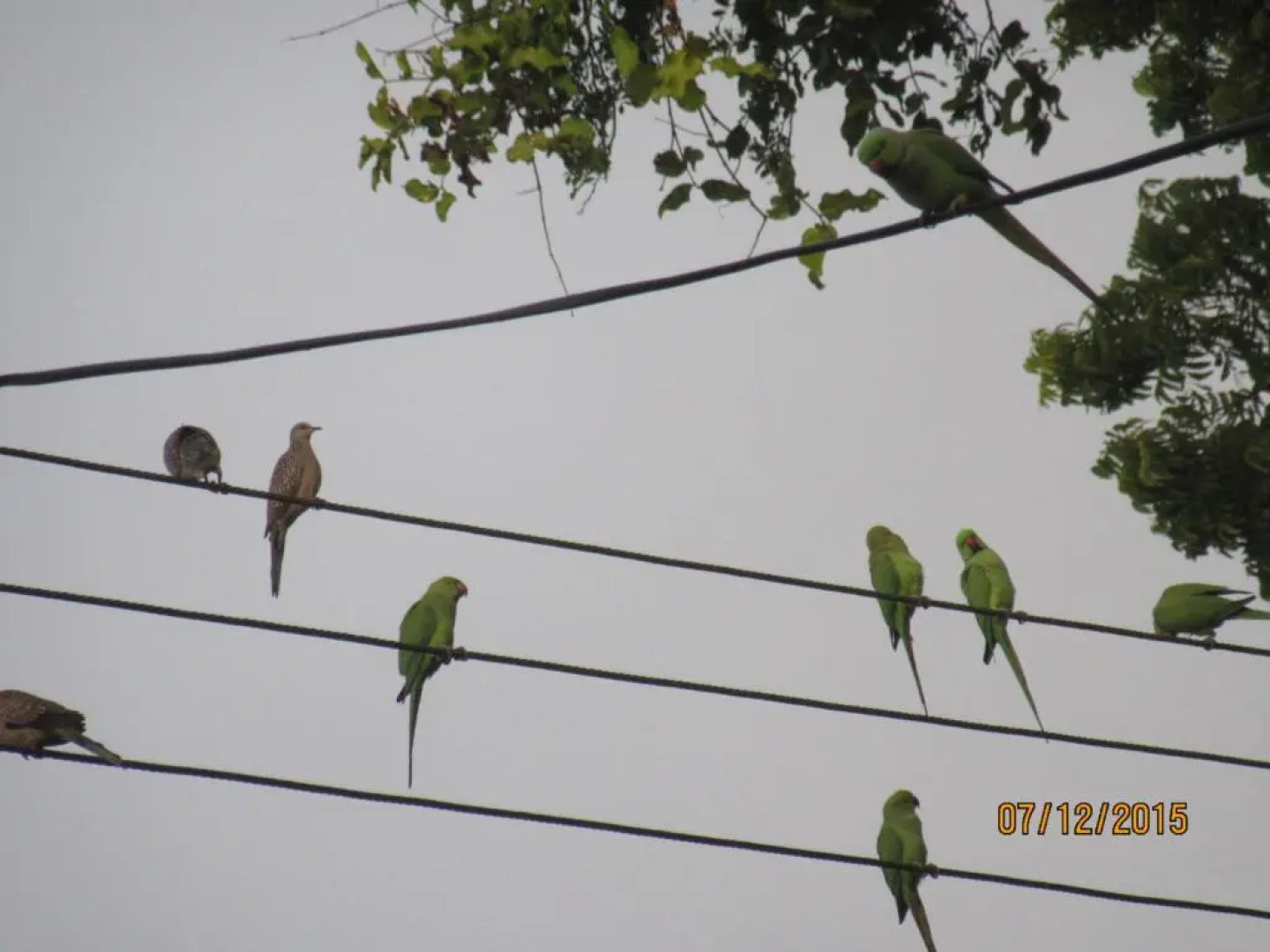 Sanderling Silent Beach Cabanas