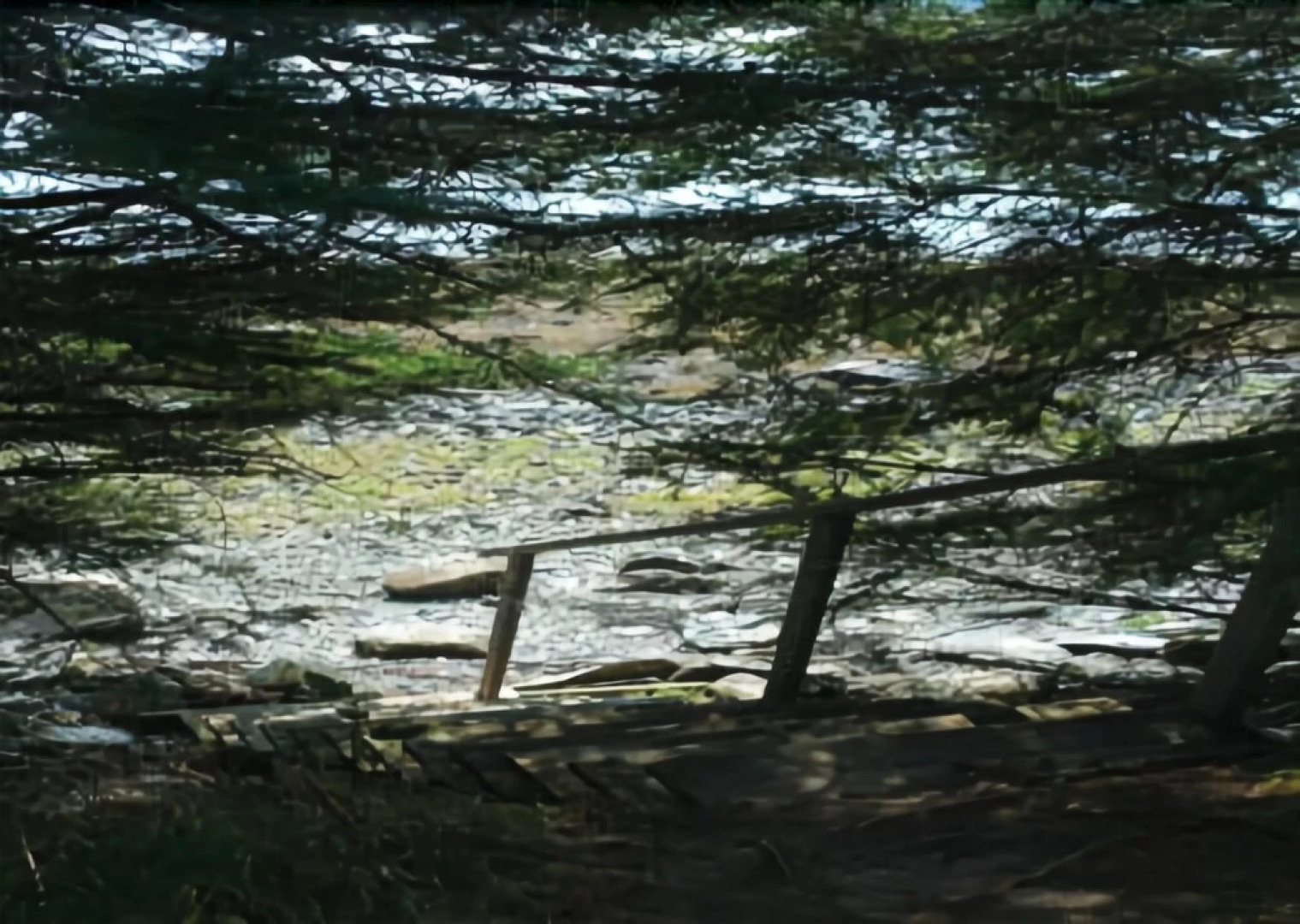 Dow Road Waterfront Cottage - One Bedroom Home