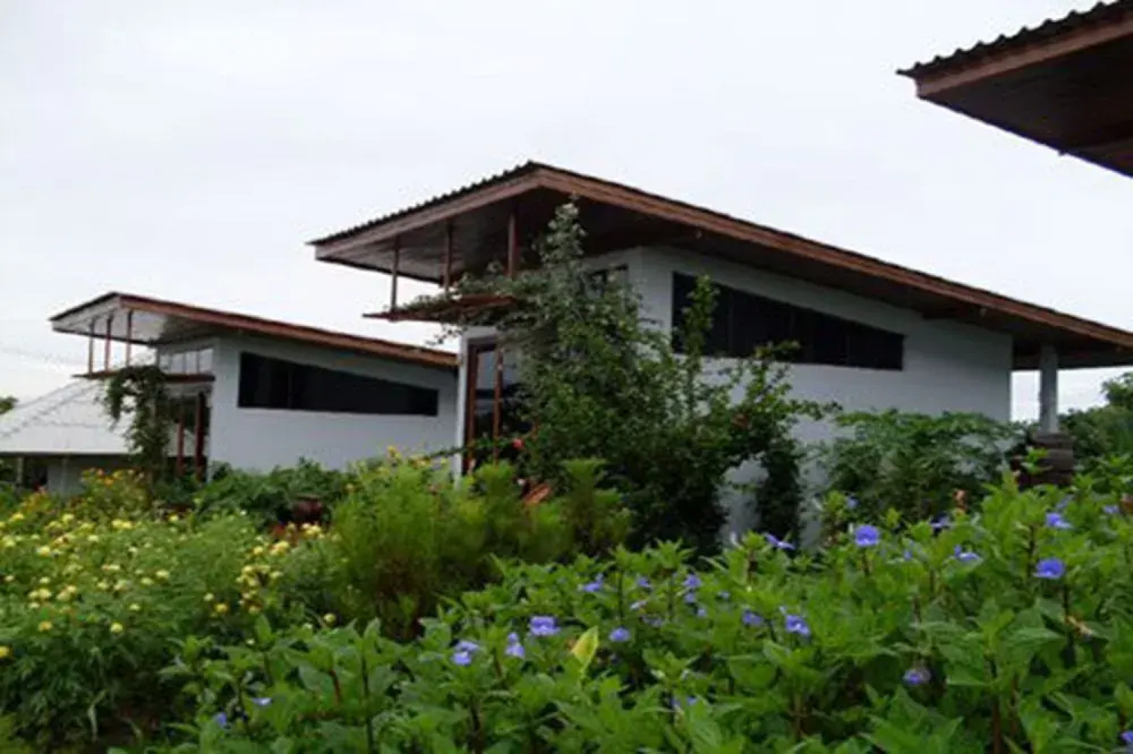 Upcountry Bungalows