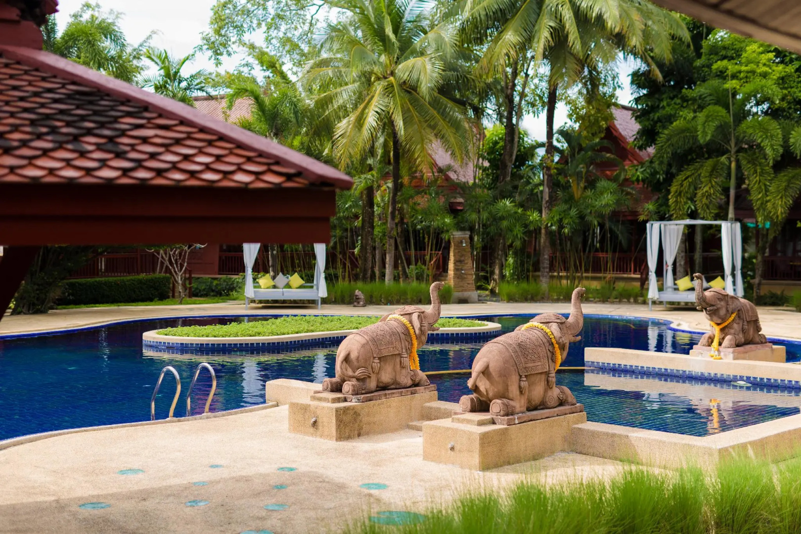 Ma Doo Bua Phuket (มาดูบัวภูเก็ต)