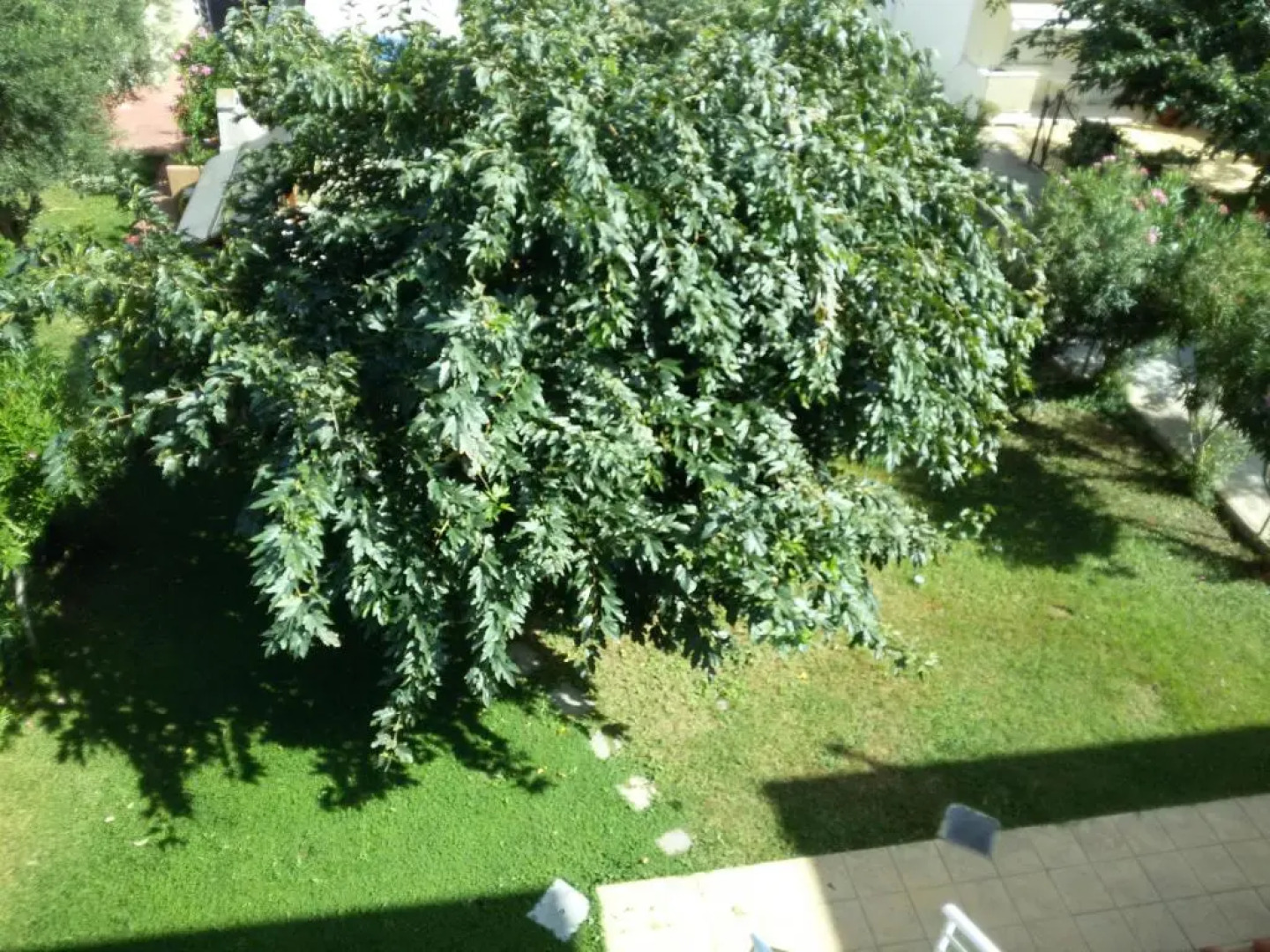 Dimar1 Seaside Apartment