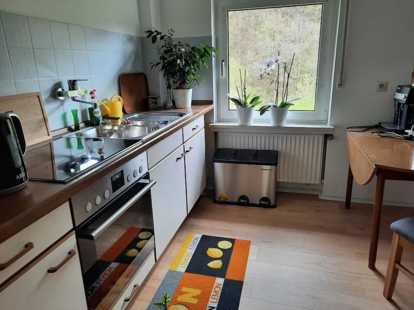 der Englische Garten