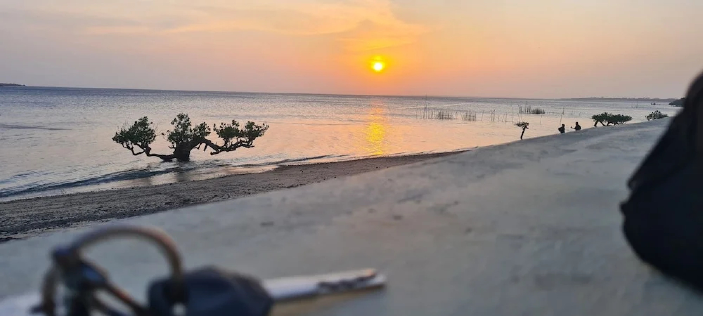 Room in Guest Room - 38m2 Turtle Suite in a 560 m2 Villa, Indian Ocean View