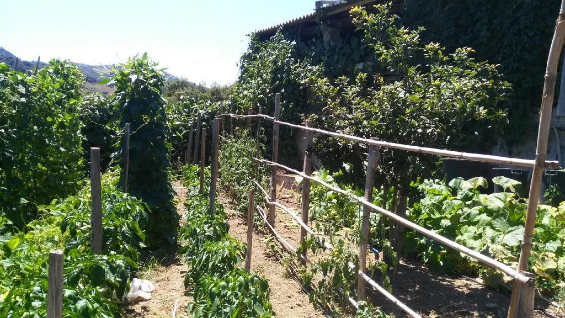 la Casetta della Nonna