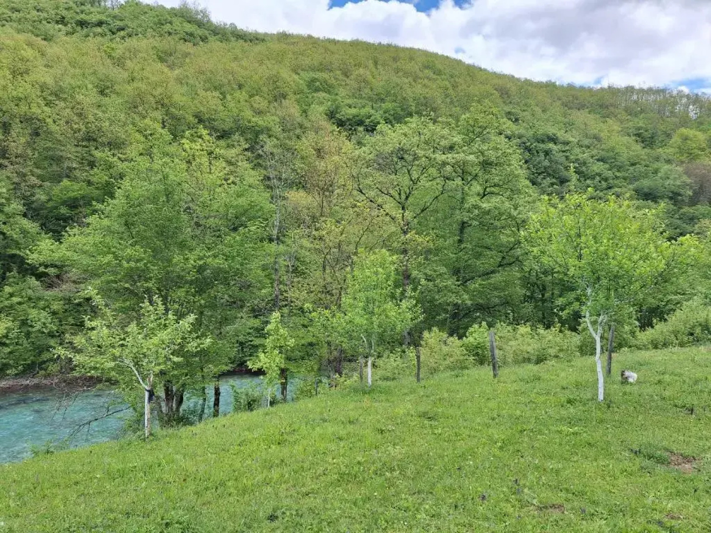 Country house Tara Orasac