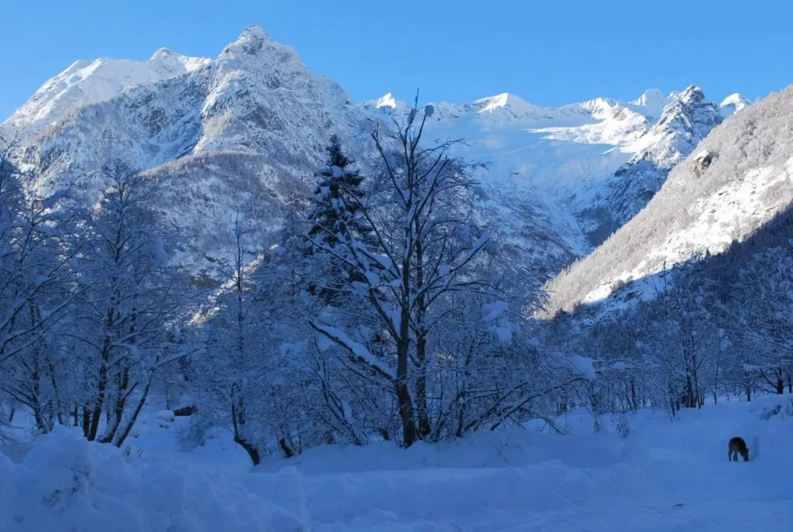 Hotel Ristorante Miramonti